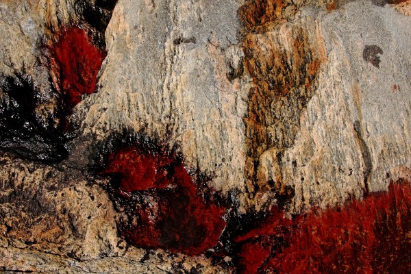 Hot Rock by Deb Oppermann